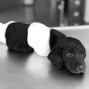 İnsanlık sınıfta kaldı!