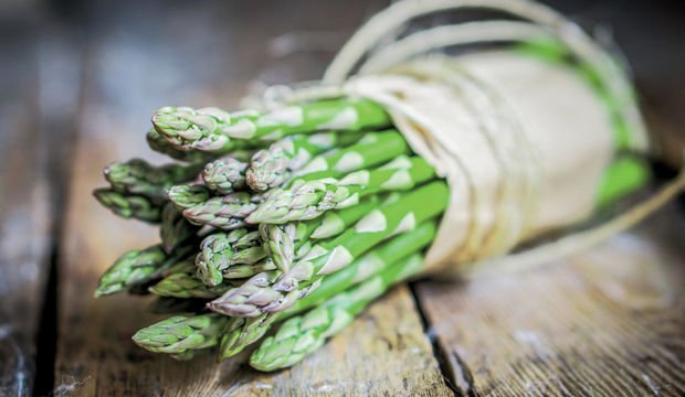 Yumurtalı kuşkonmaz