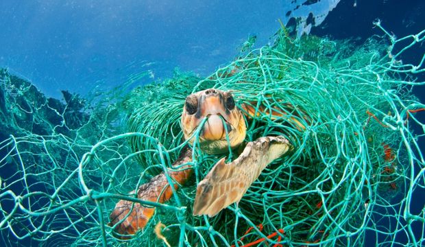 WWF'nin  Akdeniz’i Plastik Kirliliğinden Kurtarmak raporu açıklandı.
