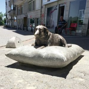 Tokyo’da Hachiko, Moda’da Tarçın