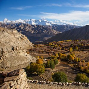 Koşmayı bırakalım mı?