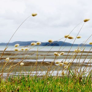 Hayatın içinden - 2