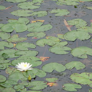 Hayatın içinden - 3