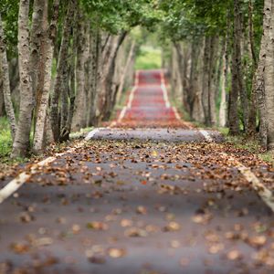 Gitmek mi? Kalmak mı?