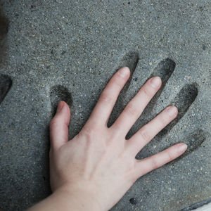 Yeniden başlıyorum