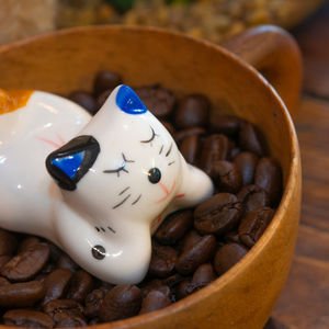 Ah, o kahve kokusu ve kedi mırlaması