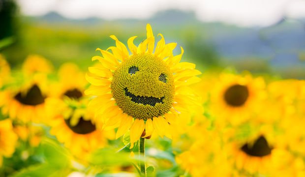 Yaşam zincirimiz...