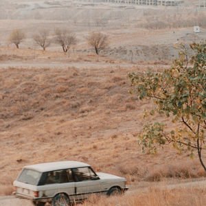 Varoluşsal bir tat: Kirazın Tadı 