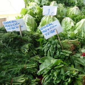 İstanbul'un en iyi semt pazarları