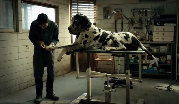 Dogman