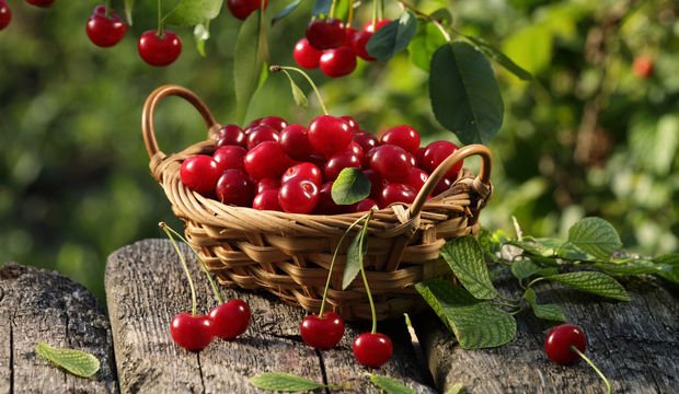 Gidene, bitene ölene...