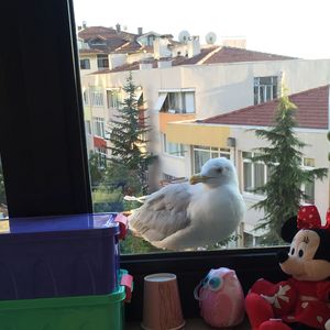 Kanseri nasıl yendim? - 2. Bölüm