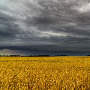 Hayatın içinden - 27