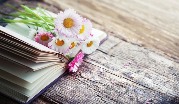 "Her Şeyi Baştan Anlat"