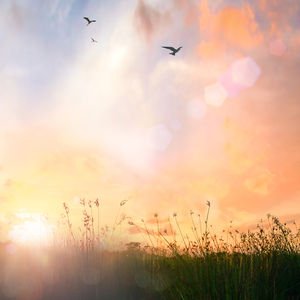 Yarınlar hep hayallerin