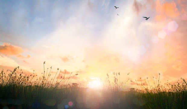 Yarınlar hep hayallerin