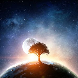 2019'da burçları neler bekliyor?