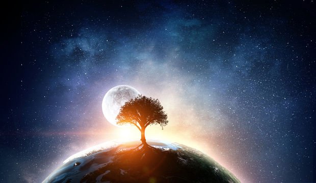 2019 burç yorumları