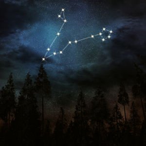 2019 yılında Balık burcunu neler bekliyor?