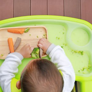 BLW sürecine genel bir bakış