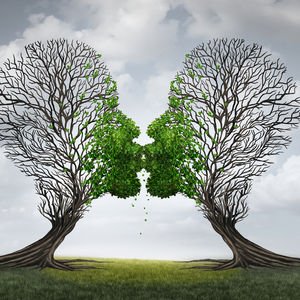 Varsayıyorum, öyleyse varım