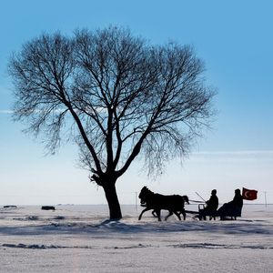 Her kış trend rotalar arasında: Kars
