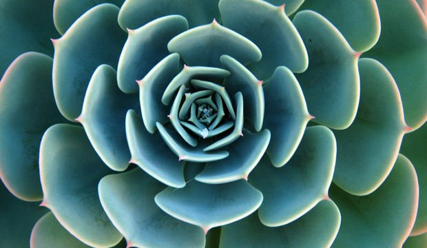 Menopoz dönemindeki hormonal değişimler