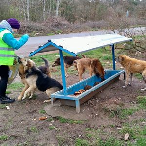 Sosyal girişimcilikte Ahtapot modeli