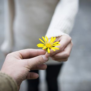 Farkların zenginliği içinde mutluluk