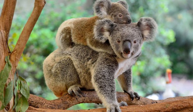 “Yeterince iyi anne” olma yolunda 5 önemli öneri