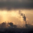 Hava kirliliği kısırlığa yol açabilir mi?