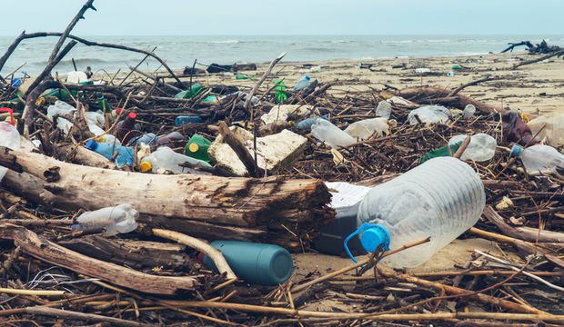 Plastik, nesilleri bozuyor!