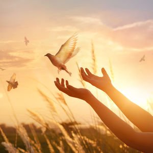 Huzur çok uzakta değil