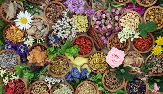 Bitkilerle güzellik