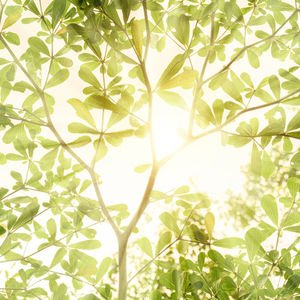 Fazlalıklardan arınmak