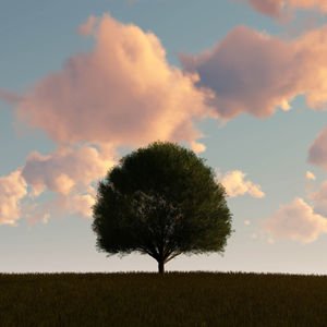 Bazı insanlar neden aşık olamaz?