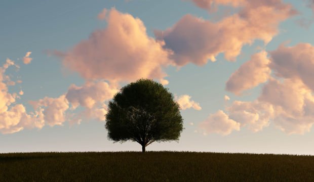 Bazı insanlar neden aşık olamaz?