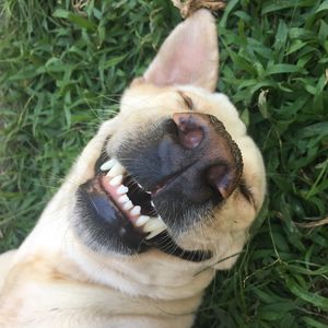 Yeni bir güne gülümsemek