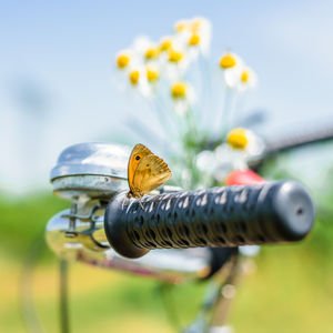 Mutsuzluğun içinde mutluluğu bulmak...