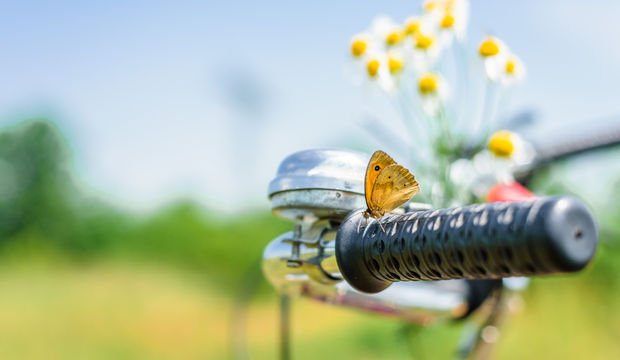 Mutsuzluğun içinde mutluluğu bulmak...