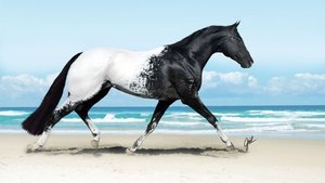 Bu hayvanlar gerçek mi?