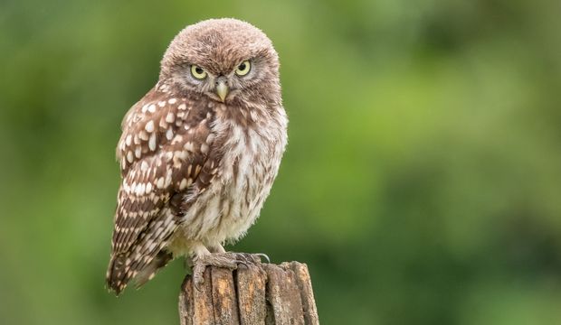 Sinirli olmanızın altında yatan sebepler