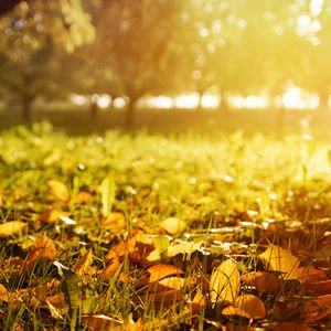 Şekilden şekle bürünen “Eylül”