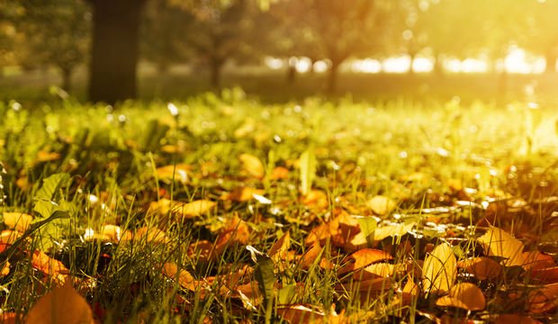 Şekilden şekle bürünen “Eylül”