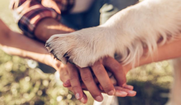 Hayvanlara neden yakınlık duyuyoruz?