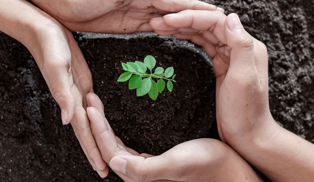 Küresel iklim krizi ve çevre sorunları için bireysel duyarlılık