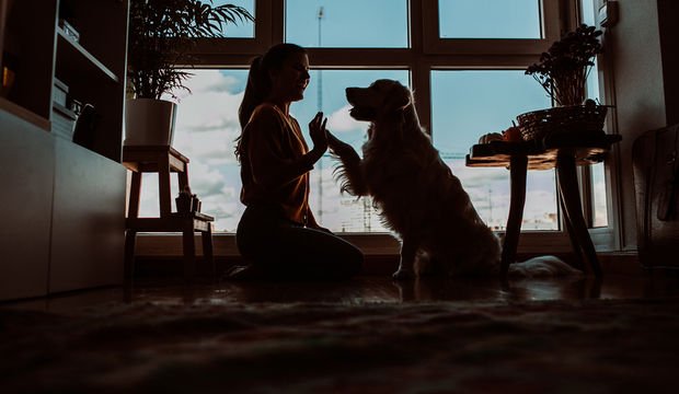 Evcil hayvanlar için deprem çantası