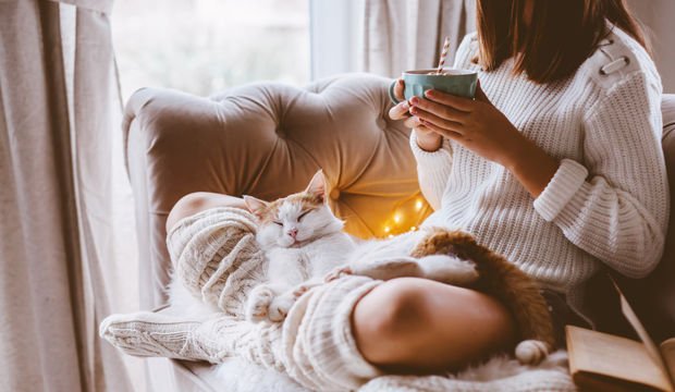 Hygge akımının anlamı nedir?