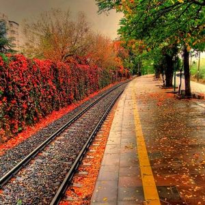 Ankara’da sonbahar, sonbaharda Ankara