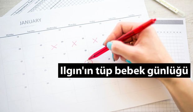 Ilgın'ın tüp bebek günlüğü - 4